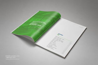 鼎盛企業集團形象畫冊及產品畫冊設計執行方案 構建統一、卓越的企業視覺形象